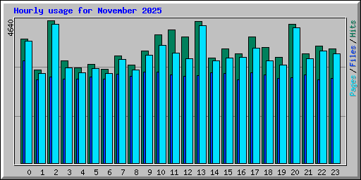 Hourly usage for November 2025
