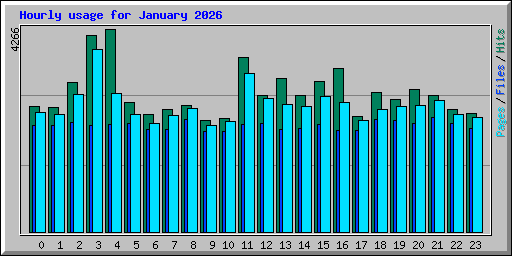 Hourly usage for January 2026
